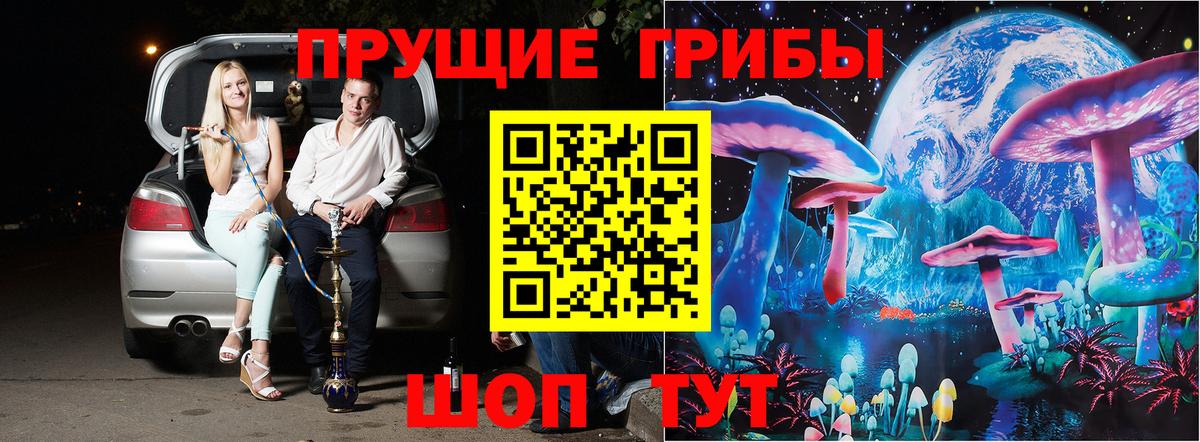 Галлюциногенные грибы Cubensis Щёлково